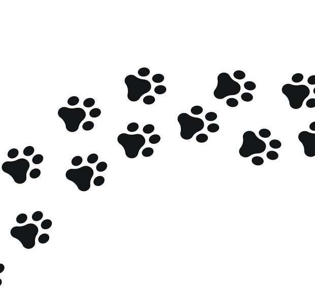 Black paw prints pattern as a wall mural on a white background
