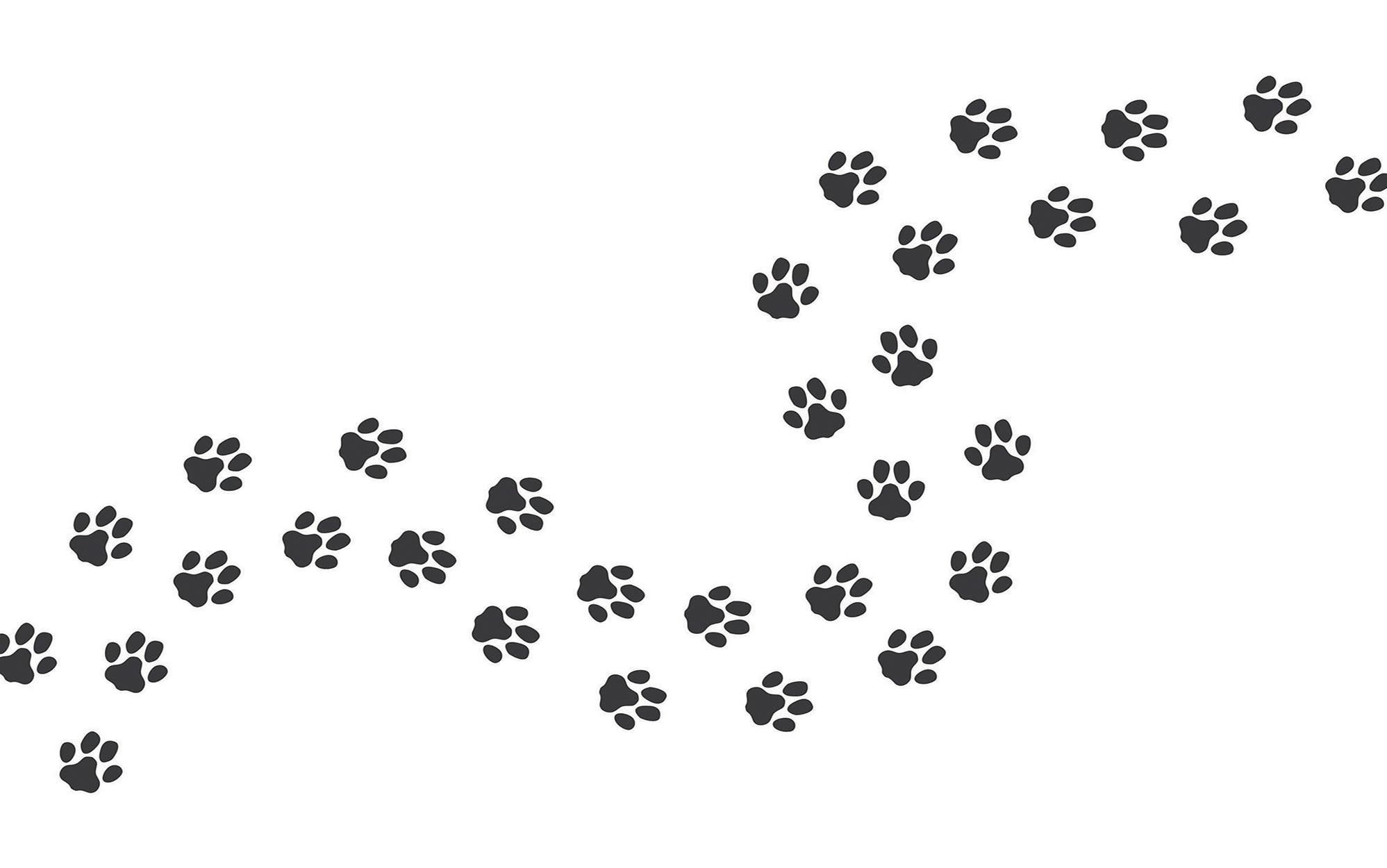 Black paw print pattern in diagonal layout on a white wall representing a wall mural