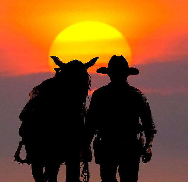 Premium Peel & Stick Wall Mural - Sunset Cowboy Silhouette