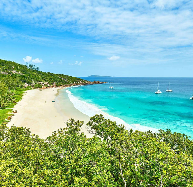 Bright and vivid wall mural depicting a tropical beach with clear blue water, sandy shore, lush greenery, and boats