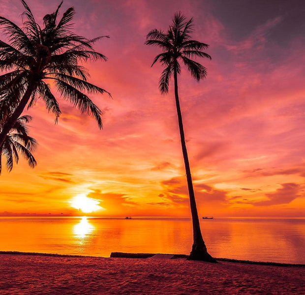 Wall mural depicting a vibrant tropical beach sunset with palm trees