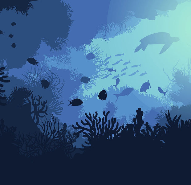 Premium Peel & Stick Wall Mural - Underwater Scene
