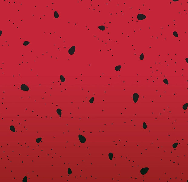 Abstract watermelon seeds pattern on a red background used as a wall mural for interior decoration