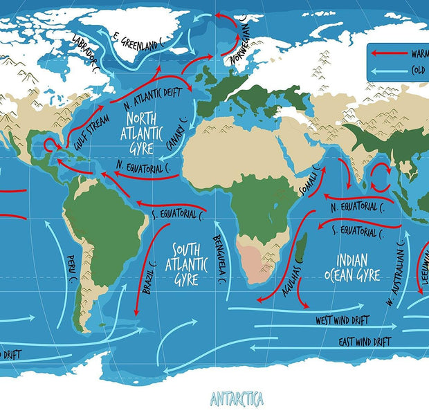 Illustrated world map depicting various ocean currents with arrows and labels on a wall mural