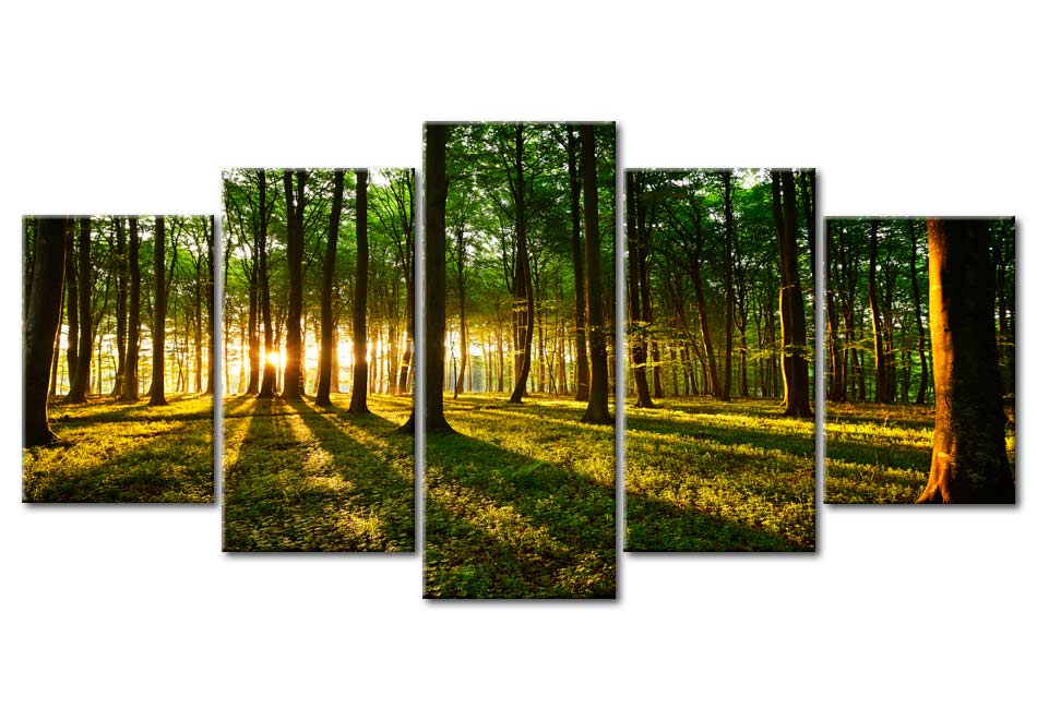 Stretched Canvas Landscape Art - Adventure In The Woods