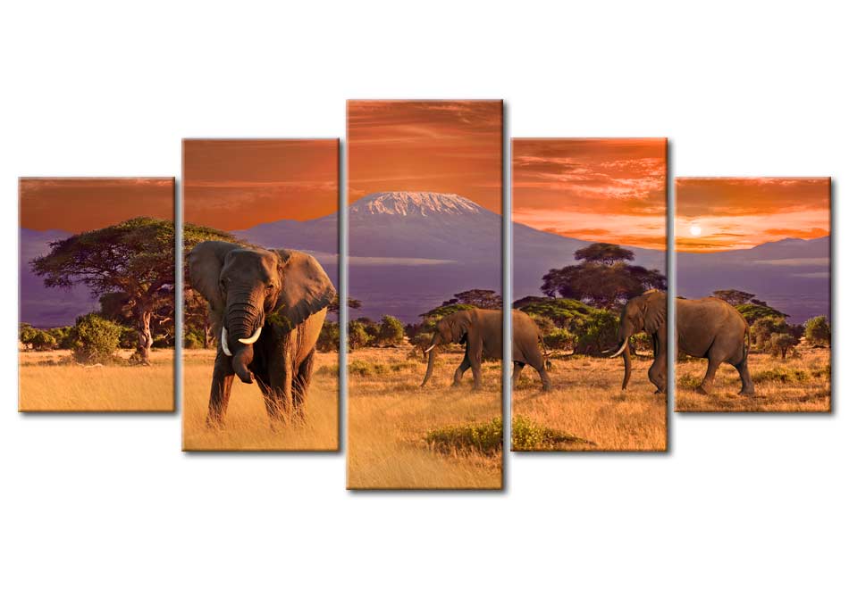 Stretched Canvas Landscape Art - Africa & Elephants