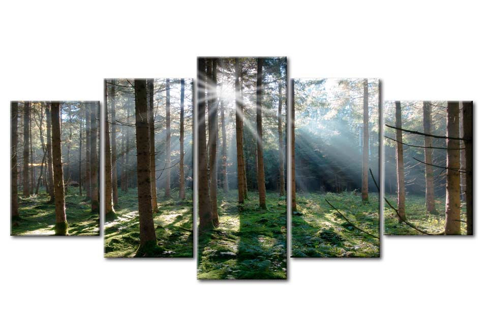 Stretched Canvas Landscape Art - Fairytale Forest