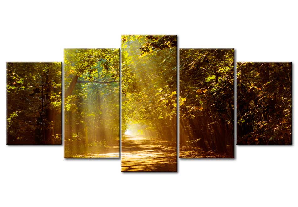 Stretched Canvas Landscape Art - Forest In The Sunlight