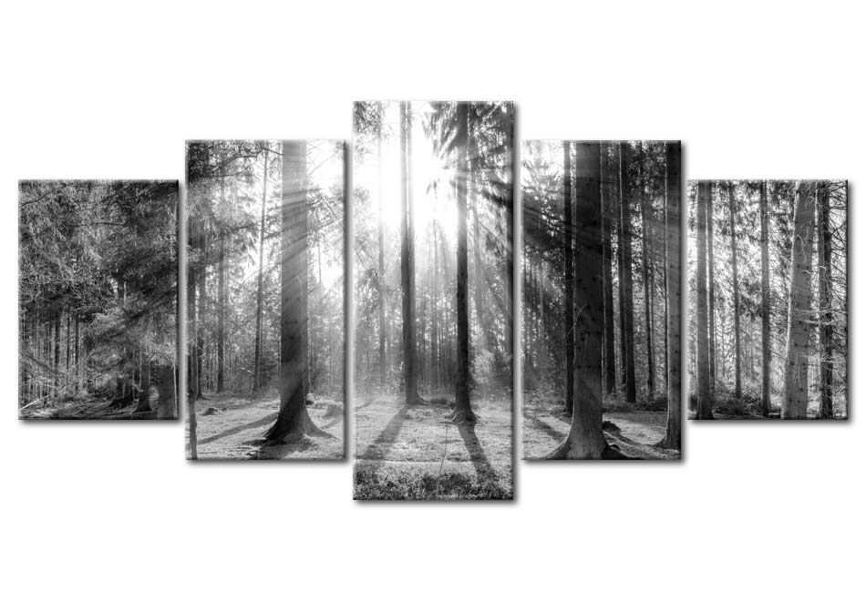 Stretched Canvas Landscape Art - Forest Of Memories