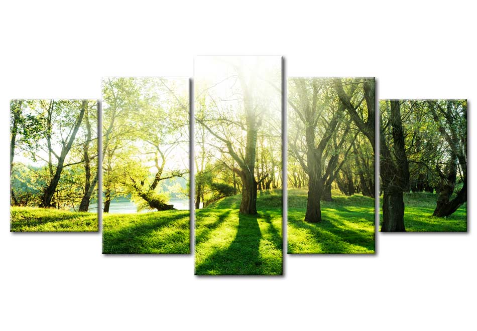 Stretched Canvas Landscape Art - Green Glade