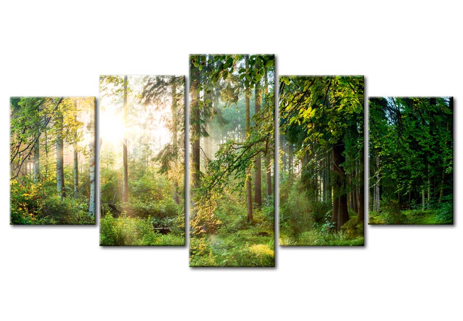 Stretched Canvas Landscape Art - Green Sanctuary