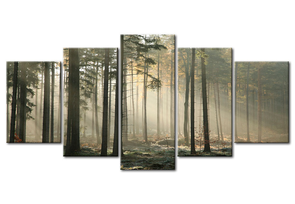 Stretched Canvas Landscape Art - Light In A Dark Forest