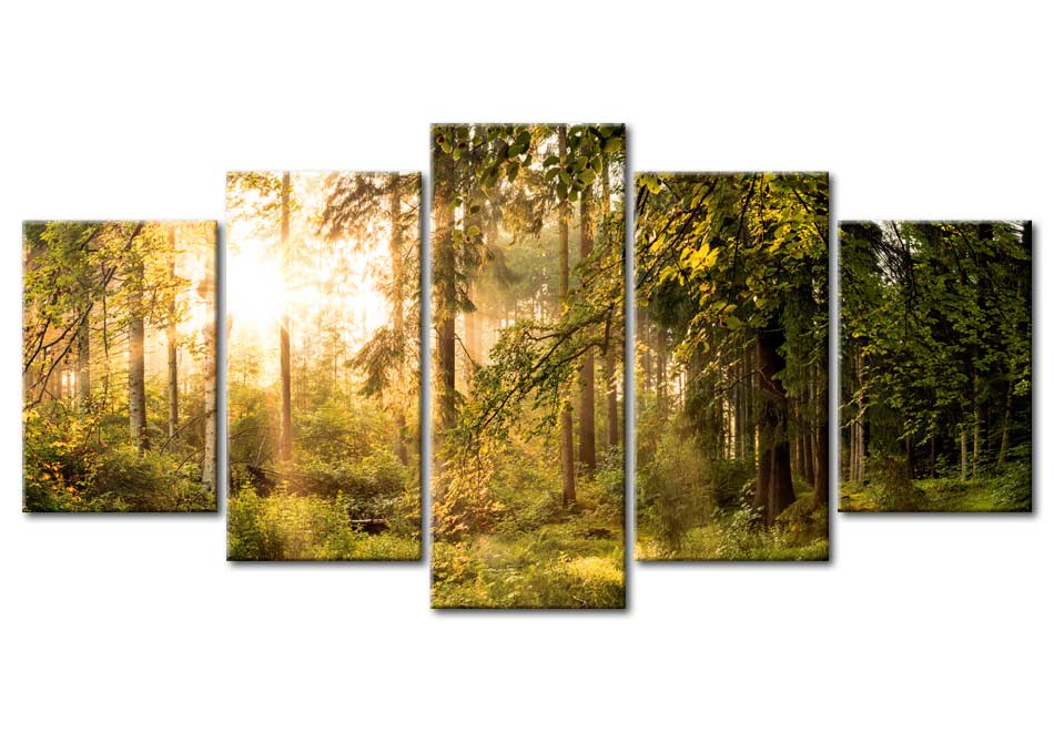 Stretched Canvas Landscape Art - Magic Of Forest