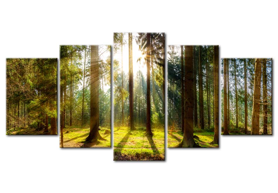 Stretched Canvas Landscape Art - Morning Awakening