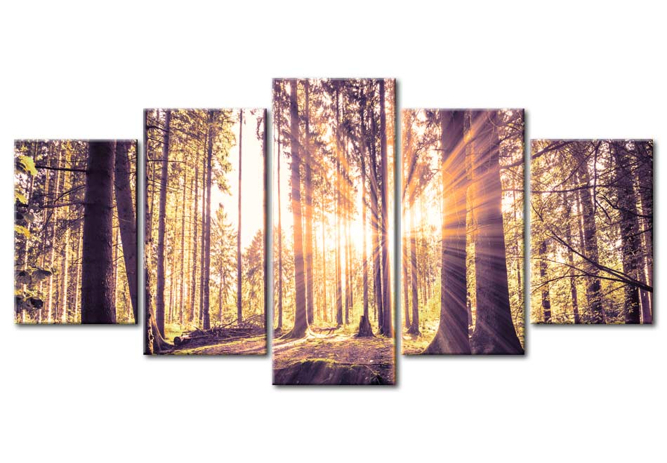 Stretched Canvas Landscape Art - Morning Idyll
