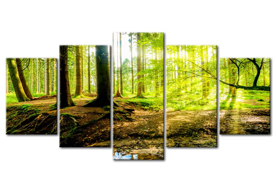 Stretched Canvas Landscape Art - Poetry Of A Forest