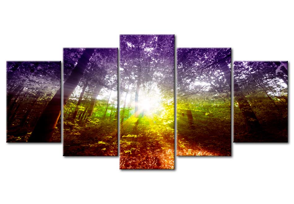 Stretched Canvas Landscape Art - Rainbow Forest