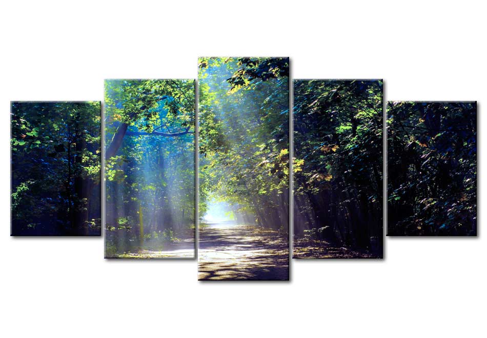Stretched Canvas Landscape Art - Sunny Forest Path
