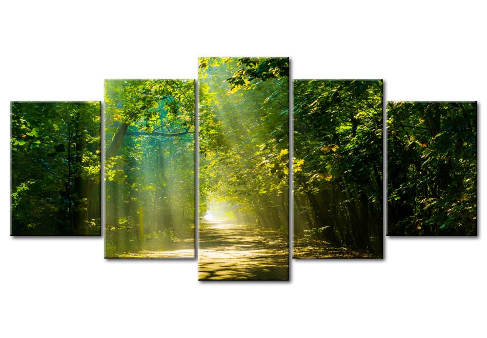 Stretched Canvas Landscape Art - Sunshine Road