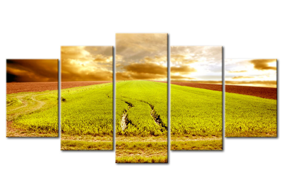 Stretched Canvas Landscape Art - Wheels Traces On A Field