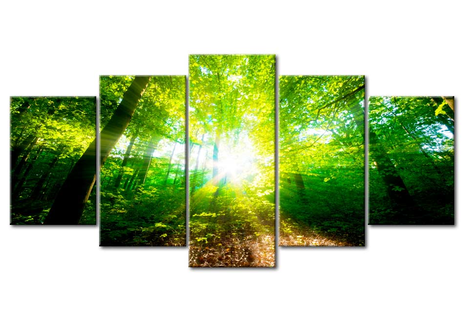 Stretched Canvas Landscape Art - Wonderful Morning