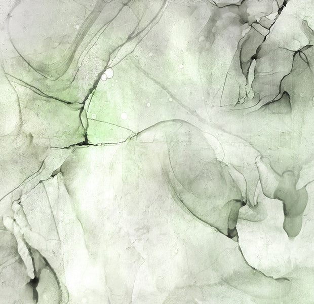 Surface Texture Wallpaper Wall Mural - Green Black Ink