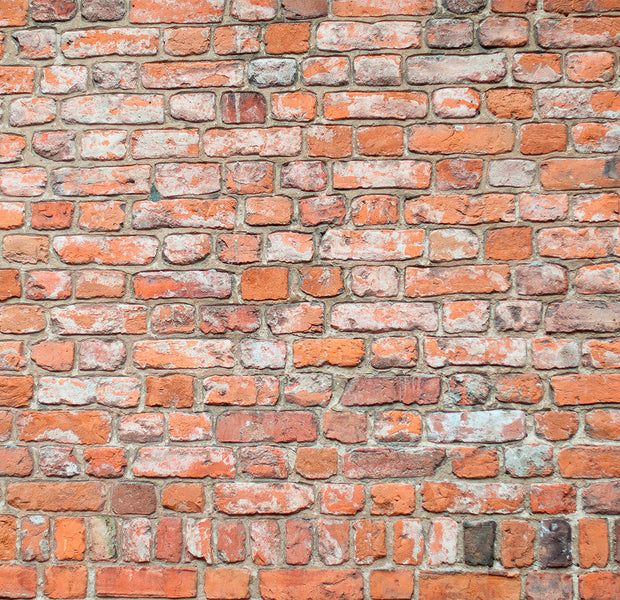 Surface Texture Wallpaper Wall Mural - Red Brick Loft Wall