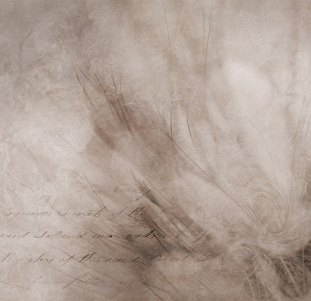 Surface Texture Wallpaper Wall Mural - Scandi Boho Composition