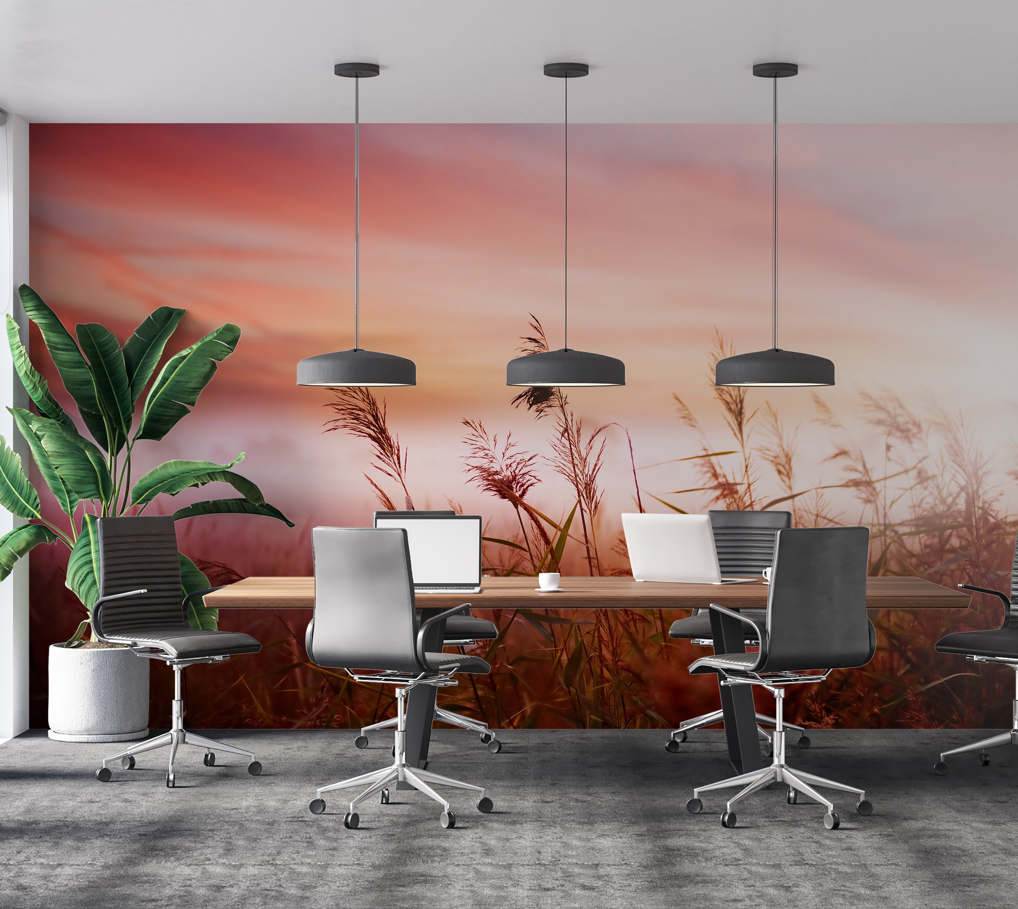 Premium Wallpaper Wall Mural - Dreamy Meadow Sunset