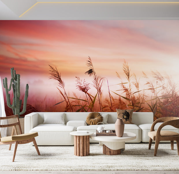 Premium Wallpaper Wall Mural - Dreamy Meadow Sunset