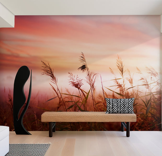 Premium Wallpaper Wall Mural - Dreamy Meadow Sunset