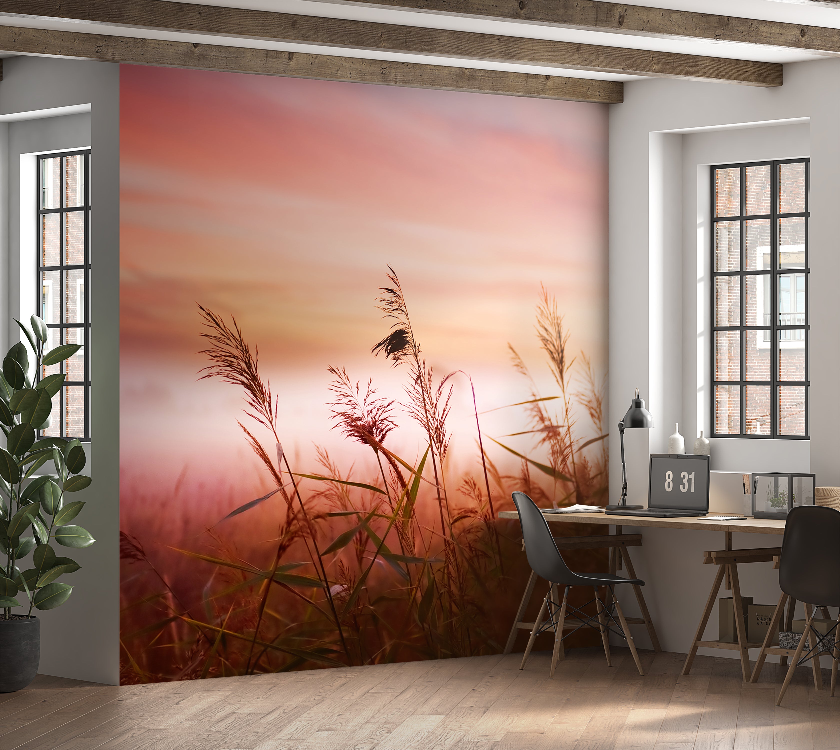 Premium Wallpaper Wall Mural - Dreamy Meadow Sunset