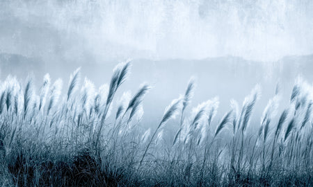 Premium Wallpaper Wall Mural - Minimalist Blue Gray Pampas