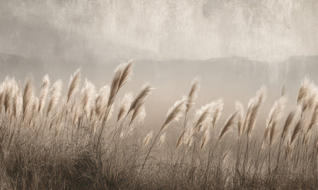 Premium Wallpaper Wall Mural - Minimalist Pampas Grass Sepia