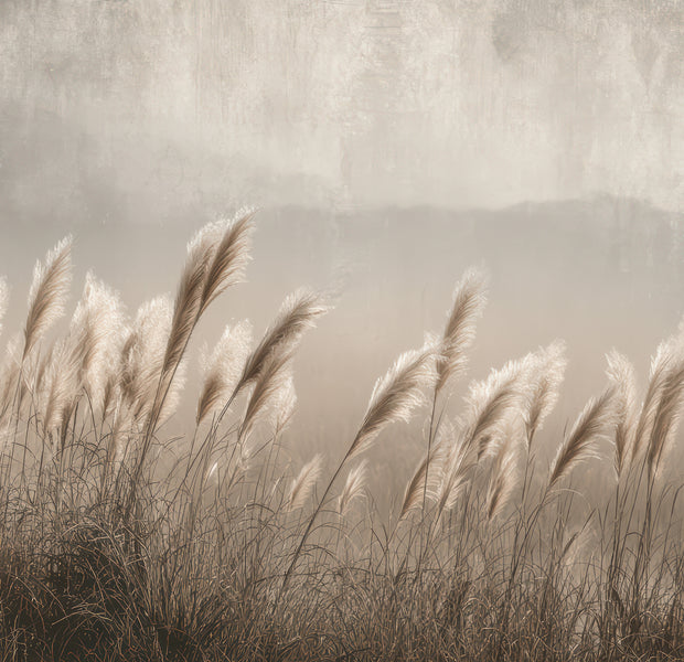 Premium Wallpaper Wall Mural - Minimalist Pampas Grass Sepia