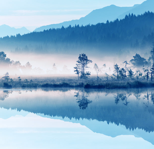 Premium Wallpaper Wall Mural - Blue Grey Misty Mountains Forest
