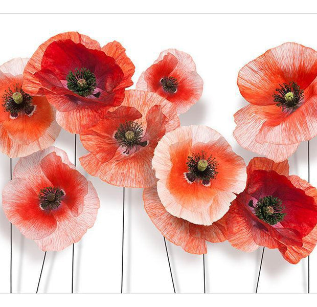 Wall mural - Nine poppies
