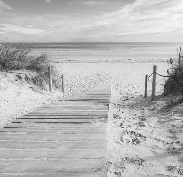 Wallpaper Wall Mural - Olive Green And Grey