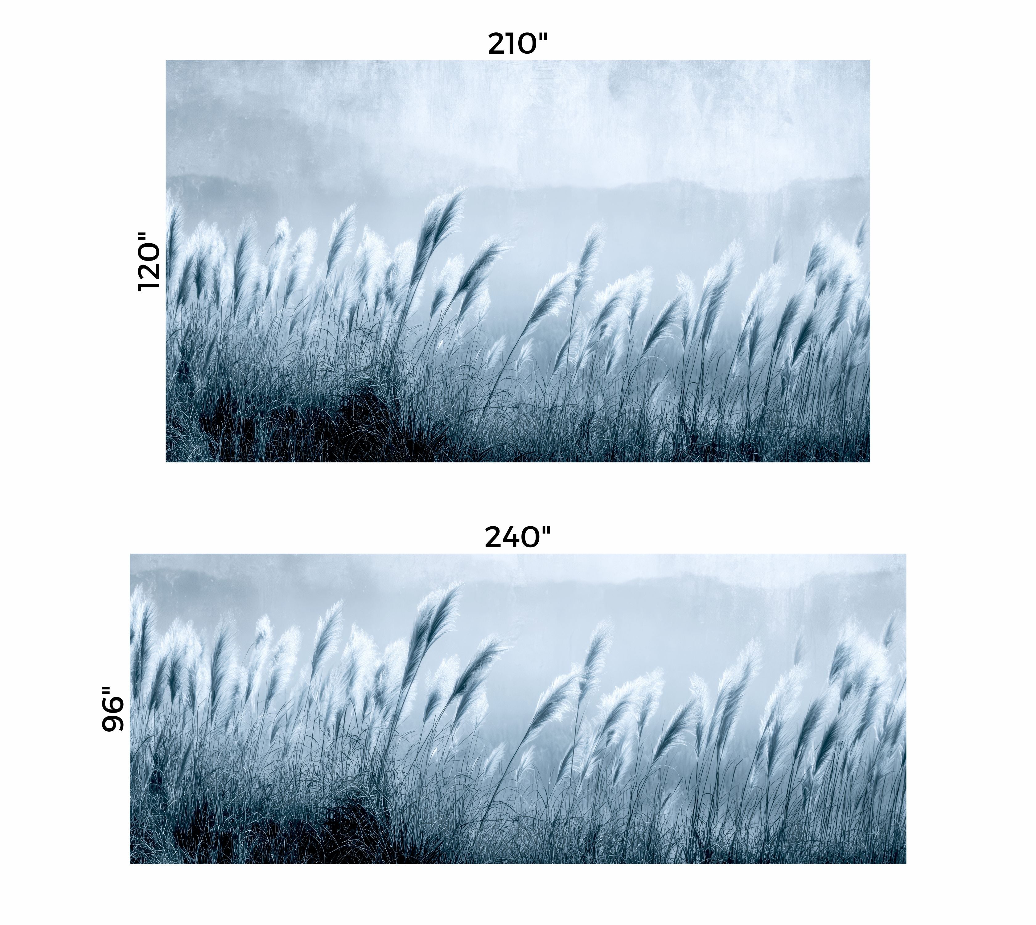 Premium Wallpaper Wall Mural - Minimalist Blue Gray Pampas