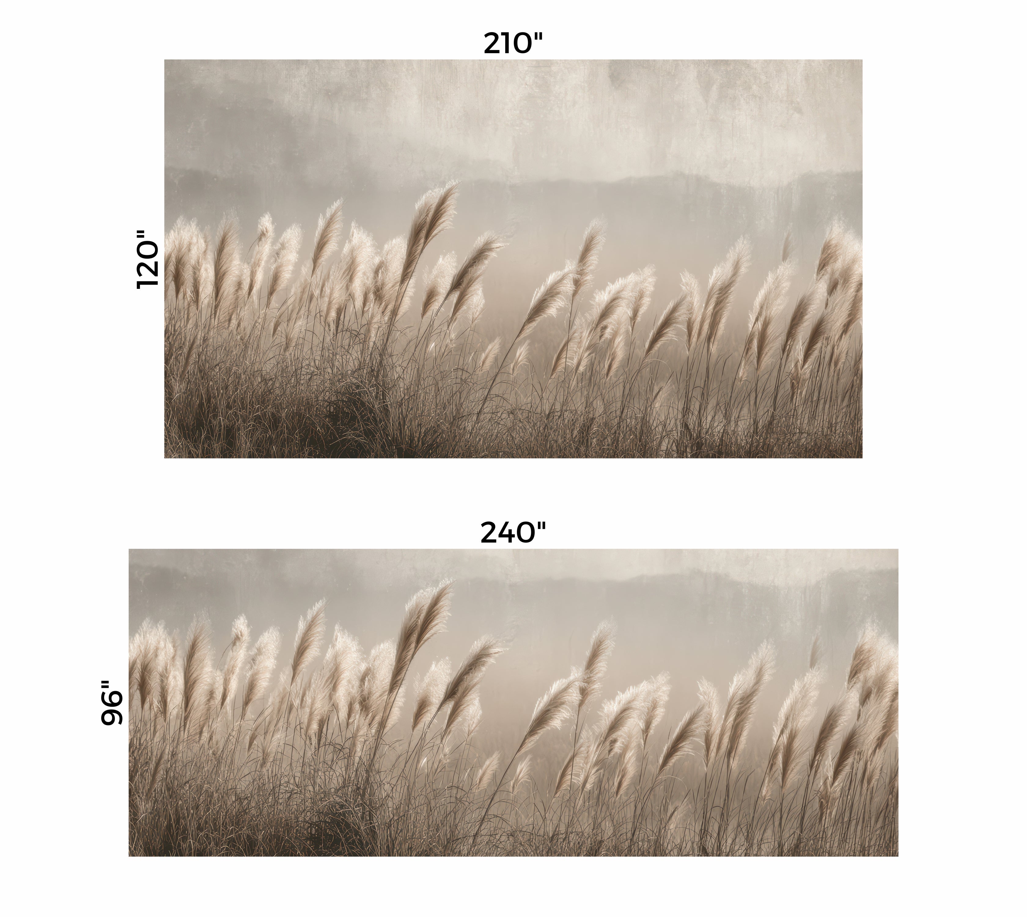Premium Wallpaper Wall Mural - Minimalist Pampas Grass Sepia