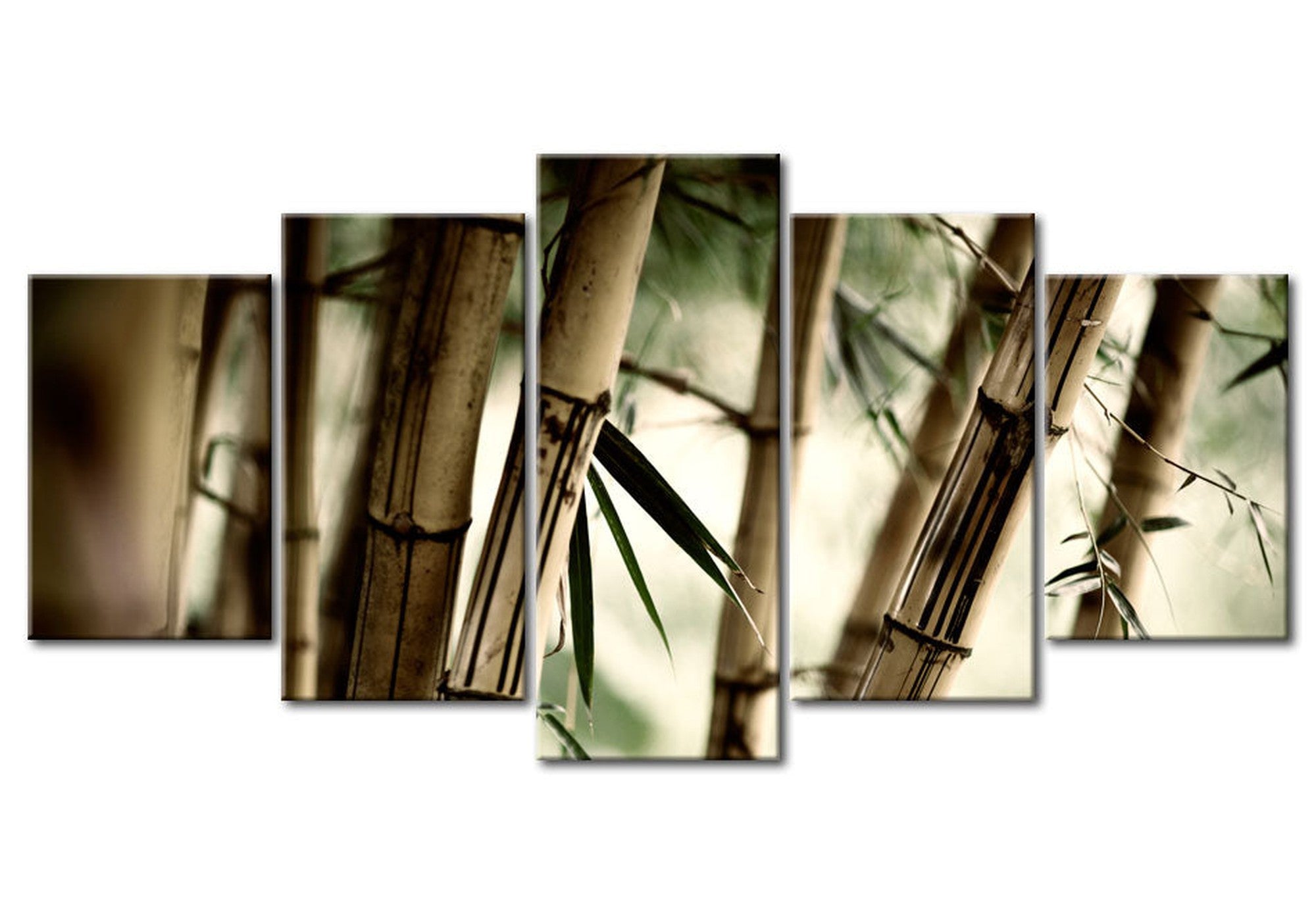 Wellness Canvas Wall Art - Asian Bamboo Forest - 5 Pieces