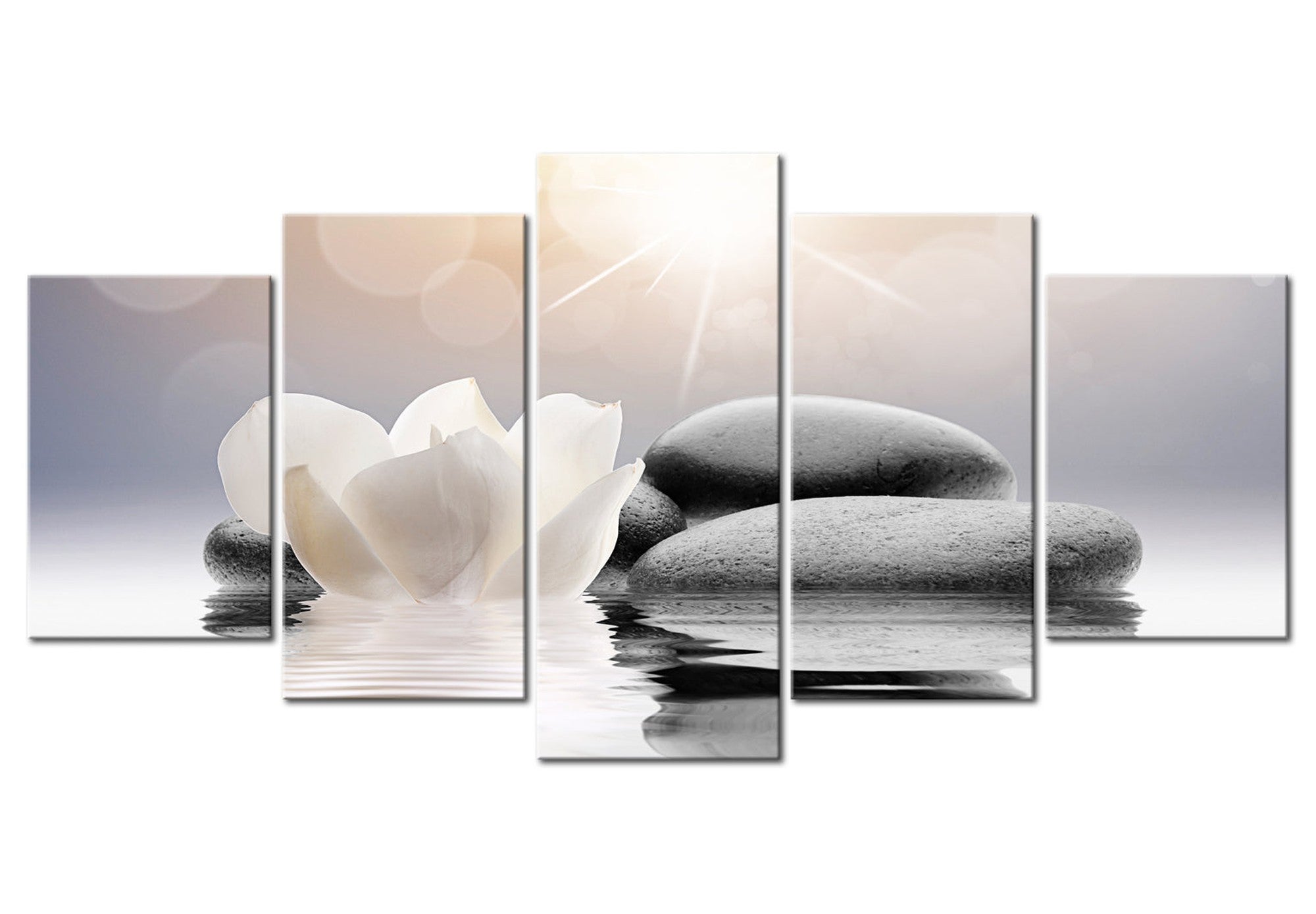 Wellness Canvas Wall Art - Nourishing Harmony - 5 Pieces