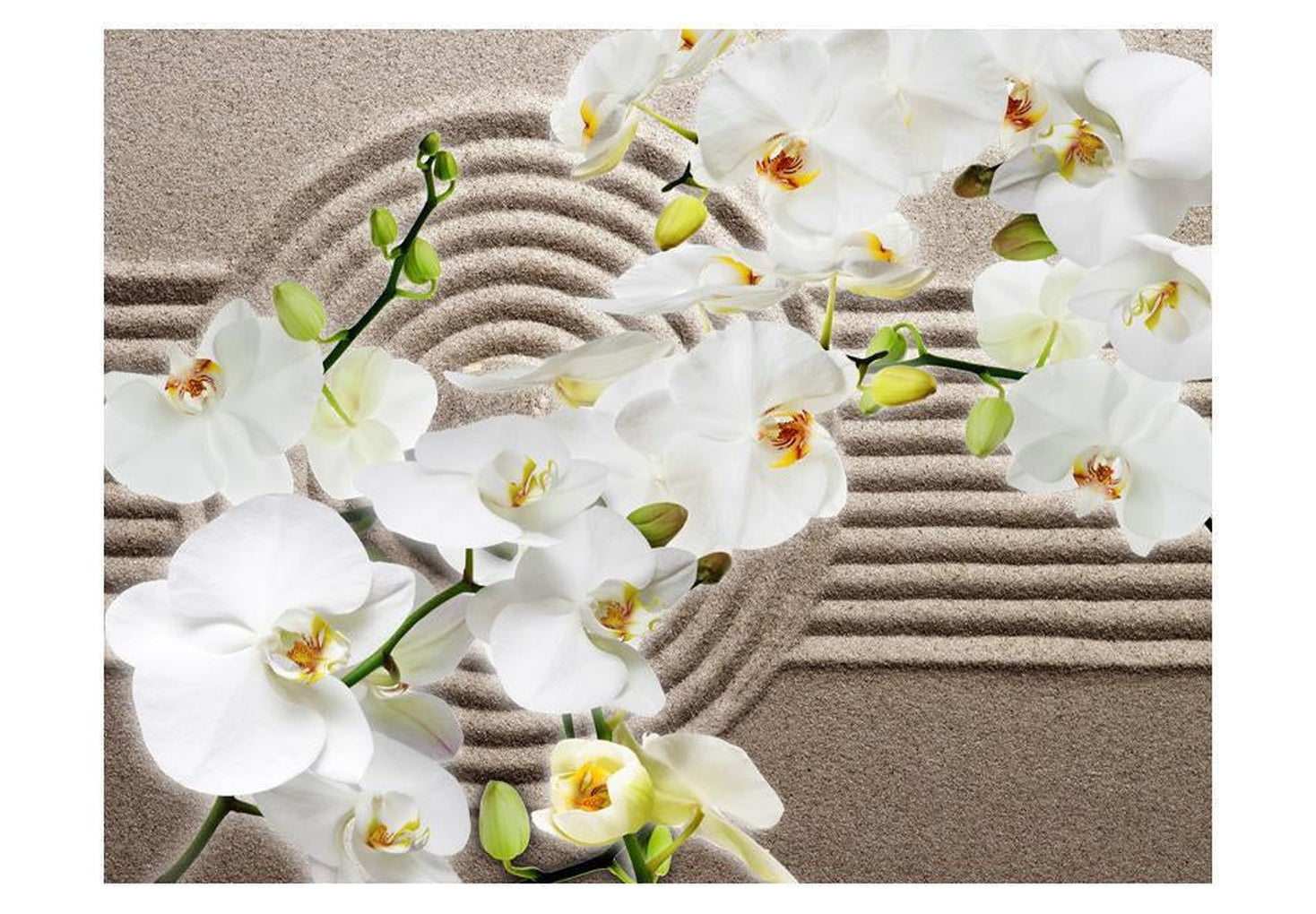 Wall mural - Beautiful Zen Garden-TipTopHomeDecor