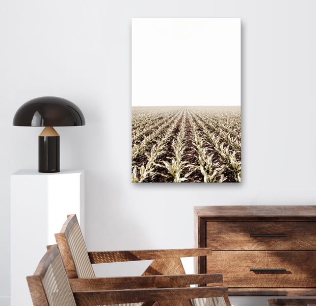 Landscape Canvas Wall Art - Corn Field