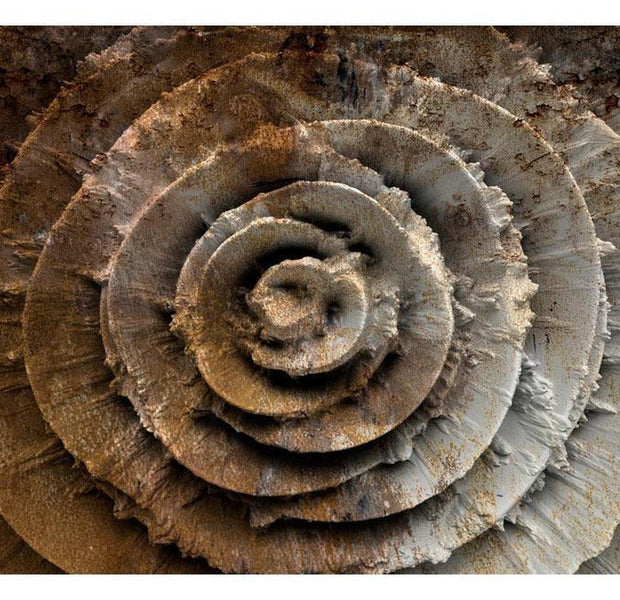 Abstract Wallpaper Wall Mural - Desert Rose