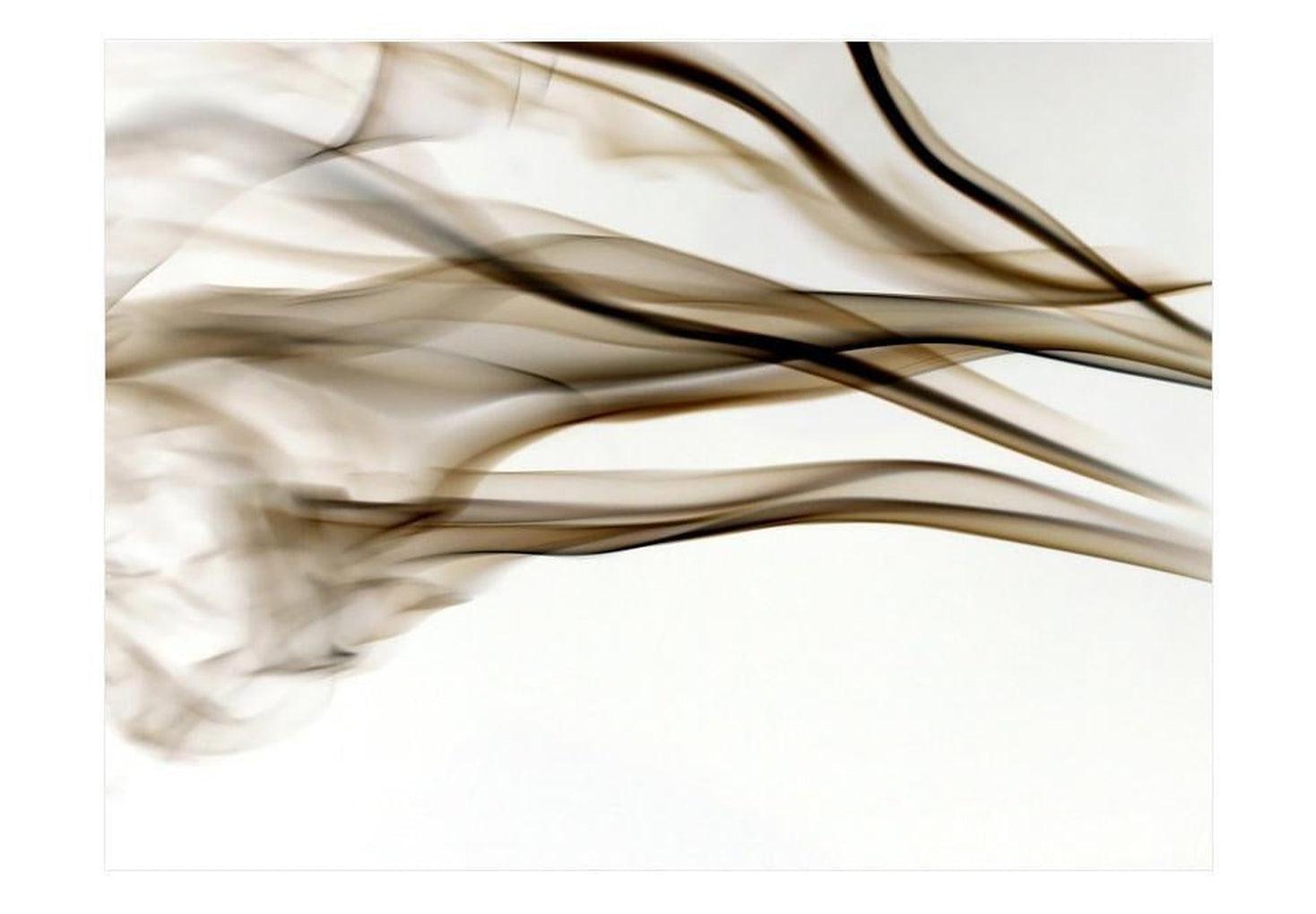 Abstract Wallpaper Wall Mural - Modern Smoke