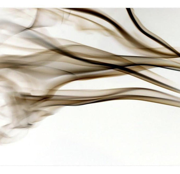 Abstract Wallpaper Wall Mural - Modern Smoke