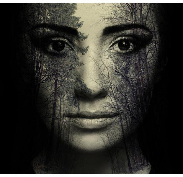 Abstract Wallpaper Wall Mural - Forest Mask