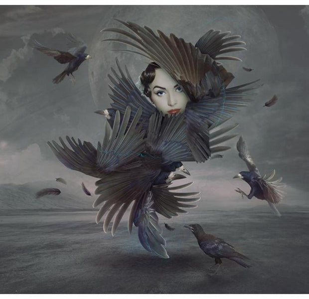 Abstract Wallpaper Wall Mural - Covered In Feathers