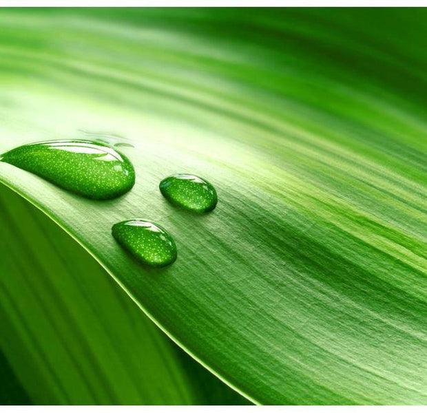 Abstract Wallpaper Wall Mural - A Drop Of Water